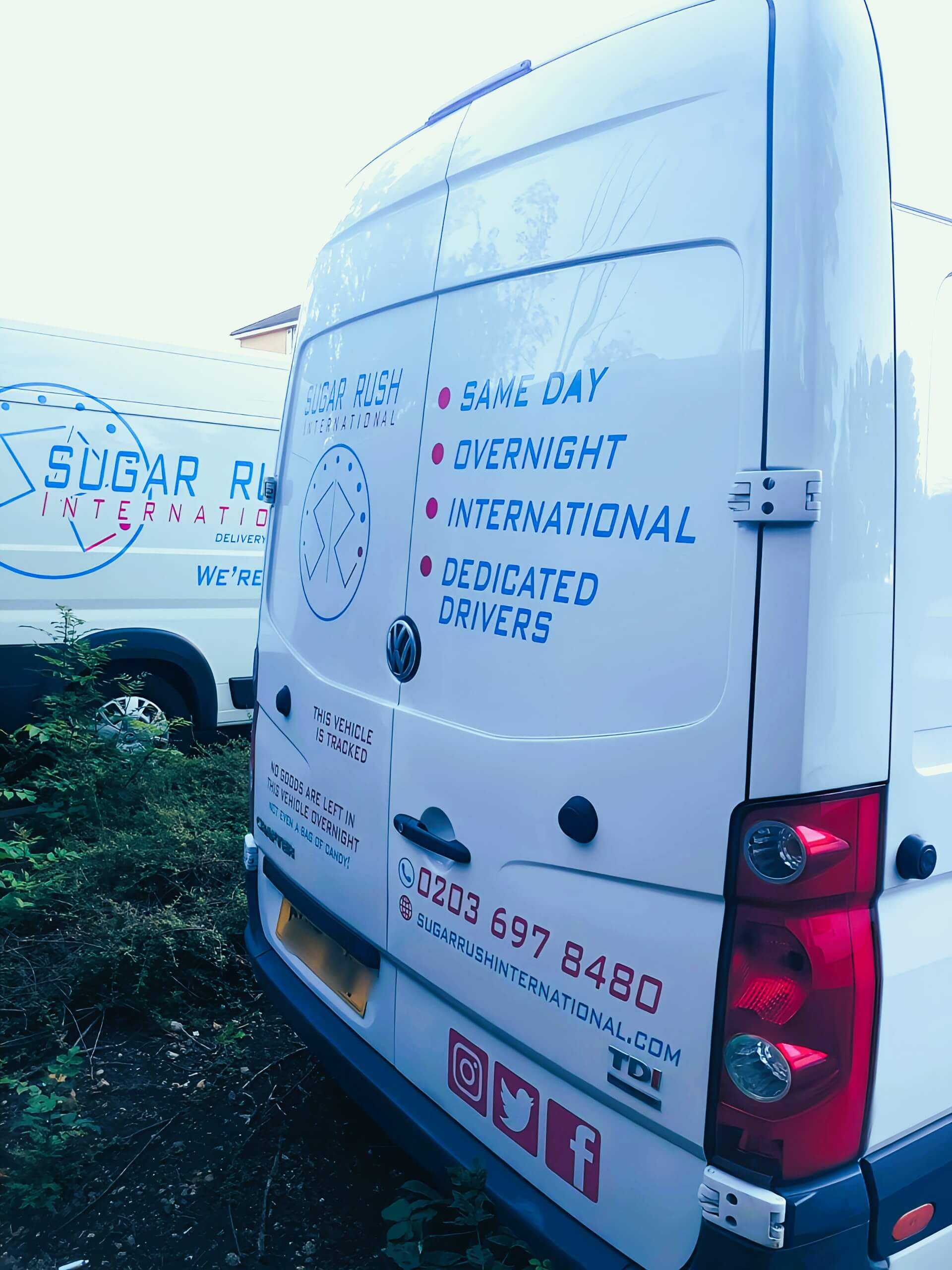 Plug and Play Van Fleet Plug and Play Van Fleet